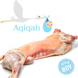 Aqiqah_geboorteoffer_jongen