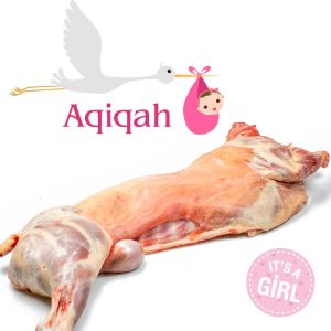 Geboorte offer Aqiqah meisje